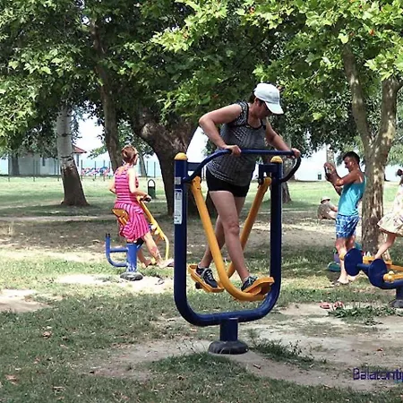 In - Balaton 30359 * シオーフォク