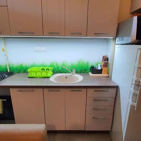 Apartment In - Balaton 30359 *