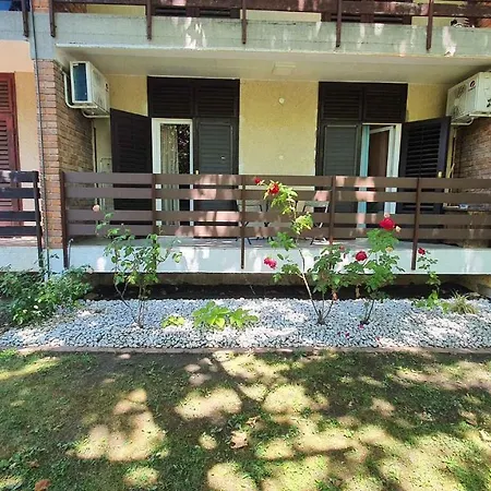 Apartman In Siofok/balaton 30359 *
