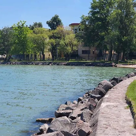 In - Balaton 30359 シオーフォク