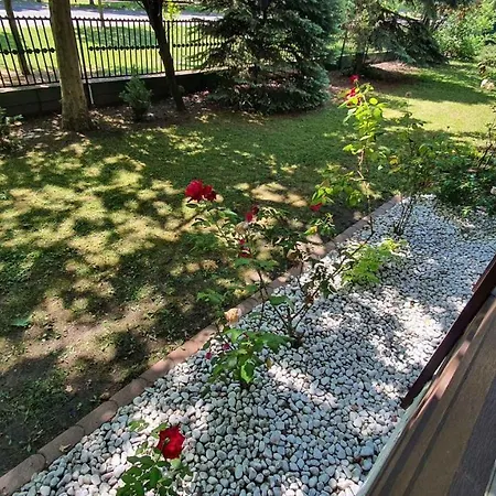 In - Balaton 30359 Apartment