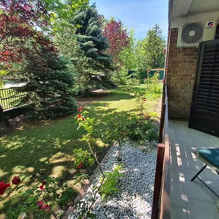 In - Balaton 30359 *