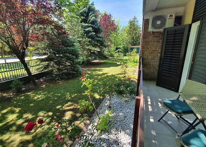 In - Balaton 30359 *